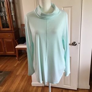 Max Studio Mint Green Turtleneck Sweater